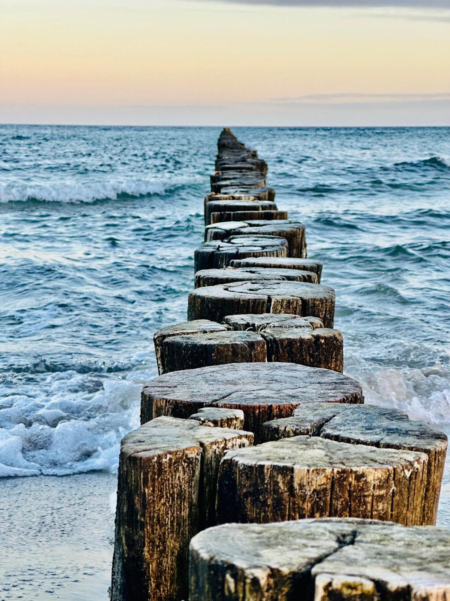 Kuestenfeuer Zingst Ngoại thất bức ảnh