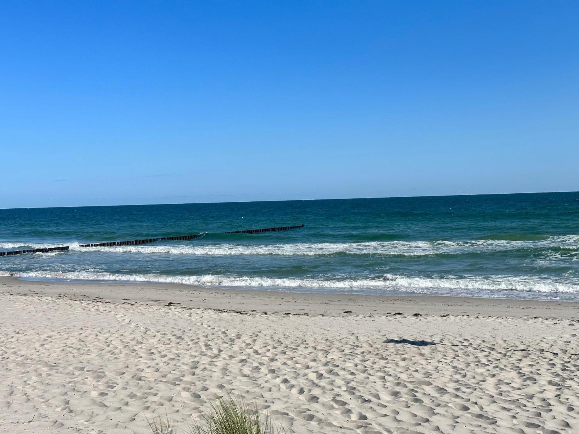 Kuestenfeuer Zingst Ngoại thất bức ảnh